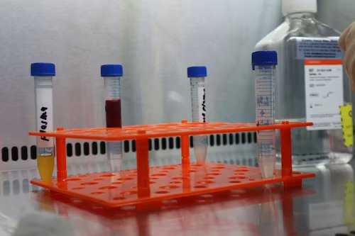 Plasticware — tubes, PCR strips, petri dishes